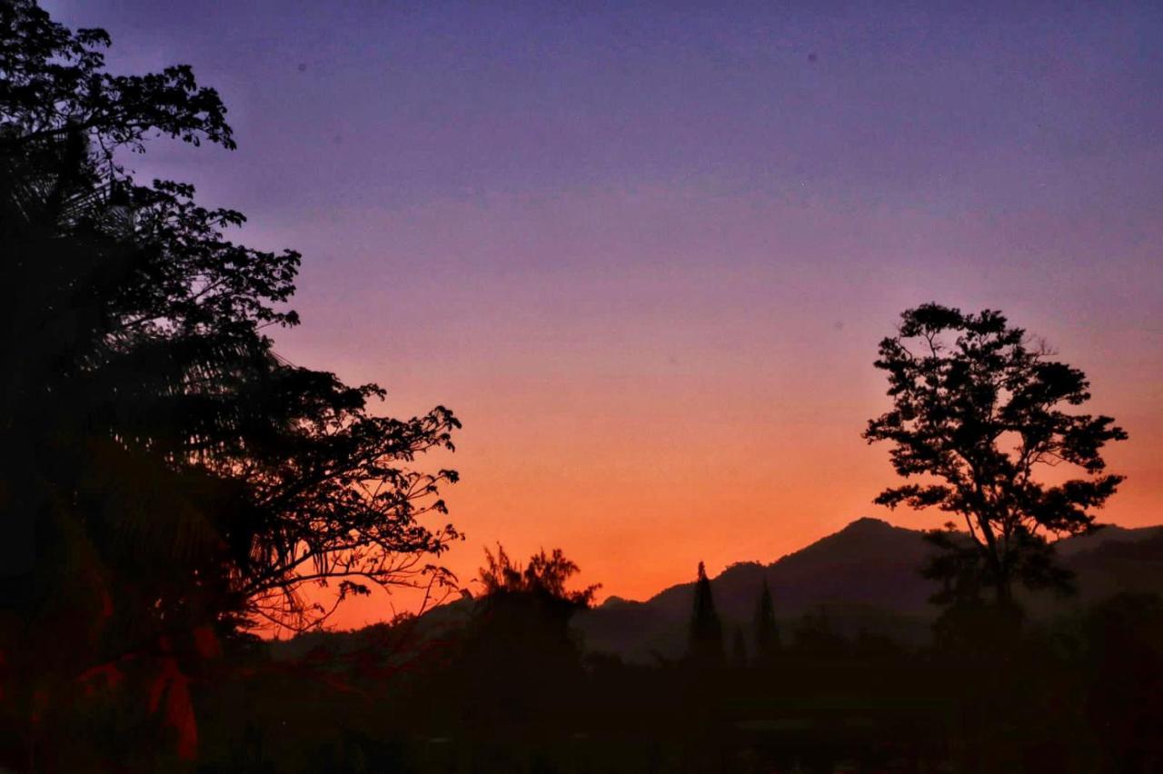Sunset Hut Hostel Omoa Ngoại thất bức ảnh